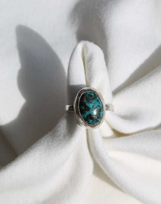 Ithaca Peak Ring